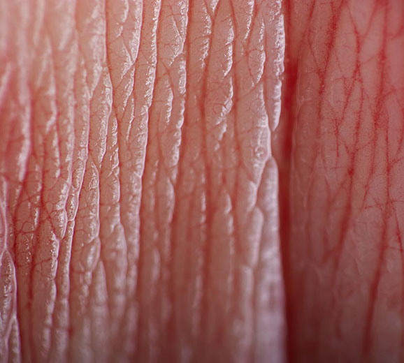 Photo from the series