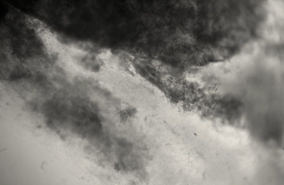 photo from the series